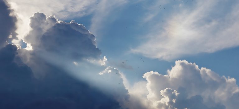 Head in the Clouds:  Is Your Business Ready to Soar?